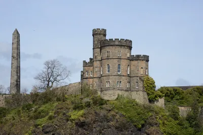 DSC_7358 (Large).JPG